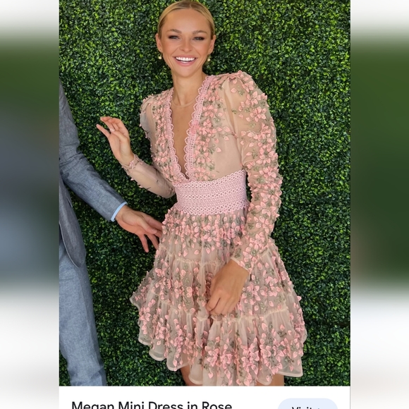 Bronx and Banco Dresses & Skirts - NWT Bronx And Banco, Megan Embroidered Pink Dress, P2P 18"